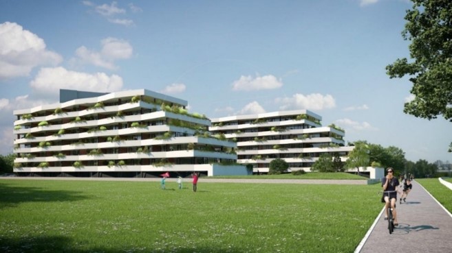 BD Lago